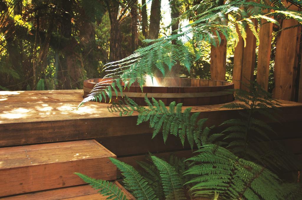 Treetops Lodge & Estate Rotorua Luaran gambar